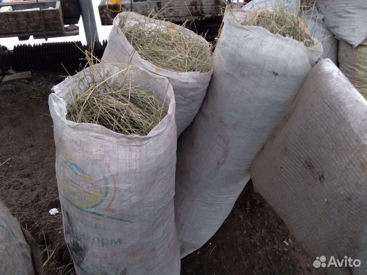 Сено в разновес