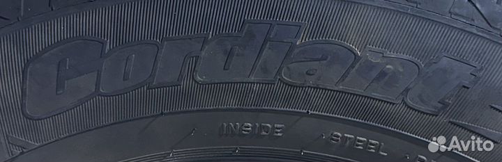 Cordiant Winter Drive 175/70 R14