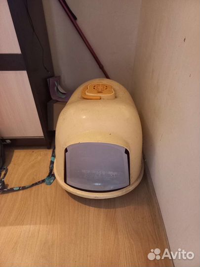 Кошачий туалет