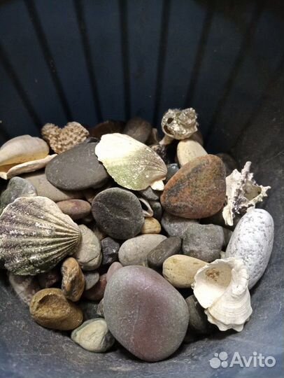 Крупный грунт для аквариума