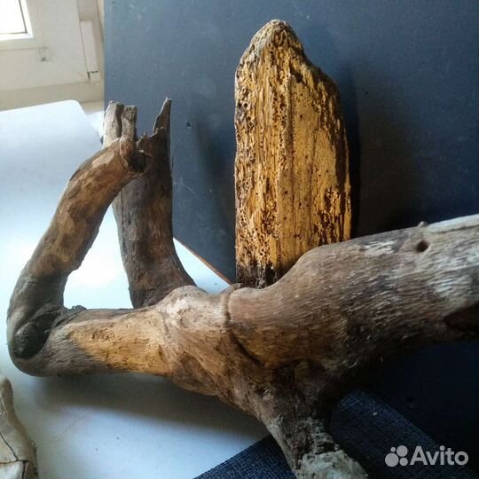 Коряги дрифтвуд. Набор 8 шт. Лот 111