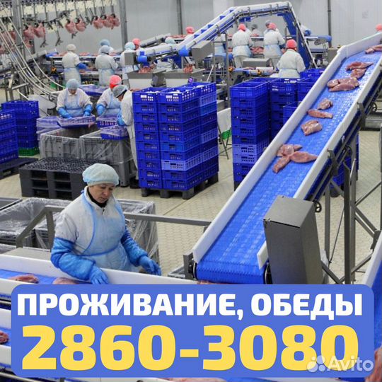 Выезд из Тольятти, вахта Пенза, упаковщик