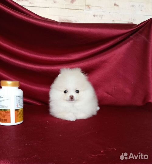 Супер micro кукла