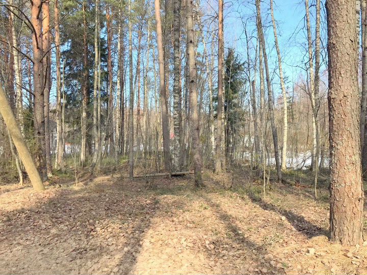 Участок 12 сот. (ИЖС)