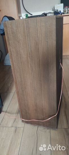 Колонки от Радиотехника s90D