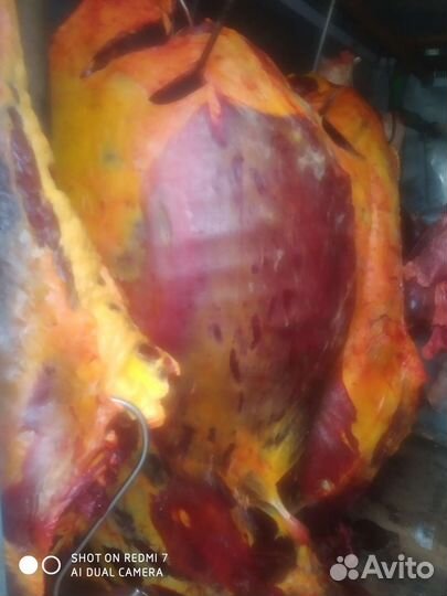 Желудки рубец