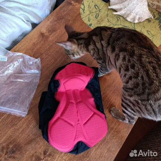 Велошорты с пенным памперсом 50-52