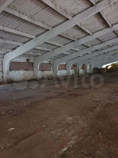 Здание, 1800 м²