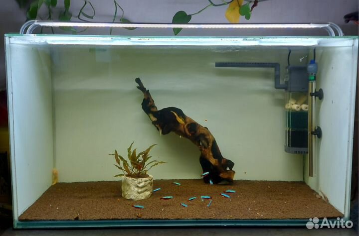 Аквариум