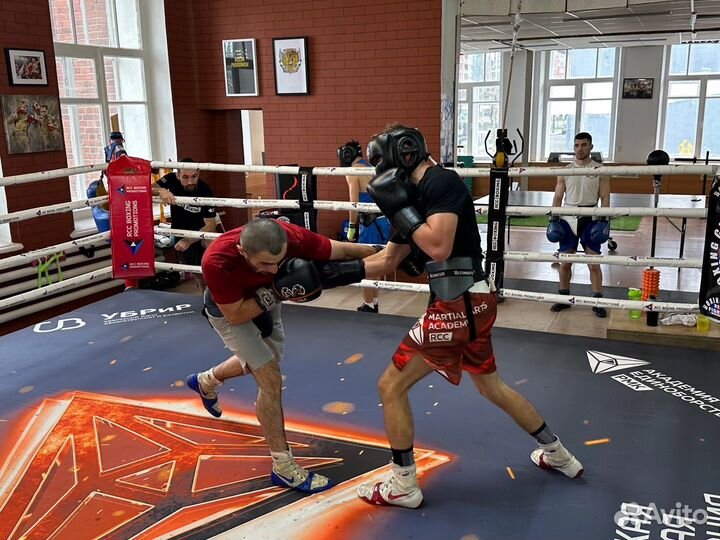 Тренировки по боксу