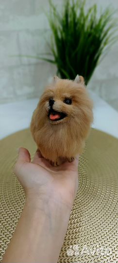 Игрушка шпиц