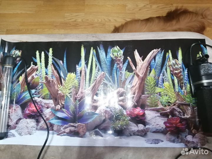 Тэн для аквариума