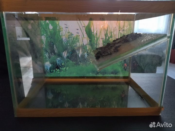 Аквариум