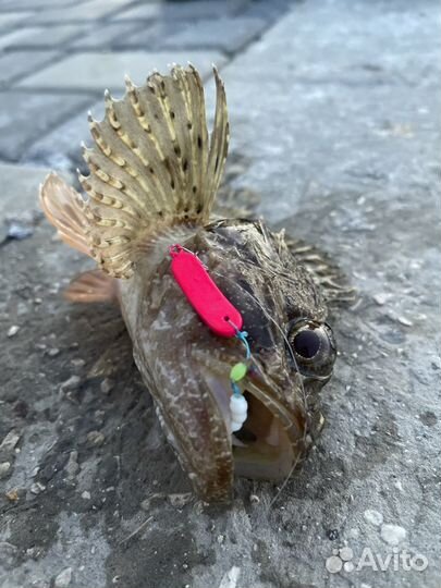 Булер для морской рыбалки