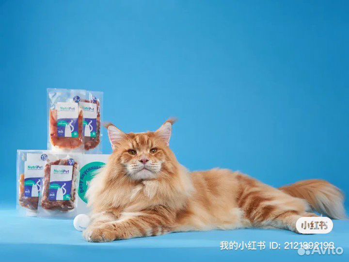 Мейн-кун вязка