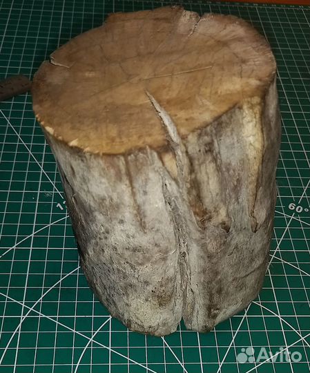 Фрагмент бивня мамонта