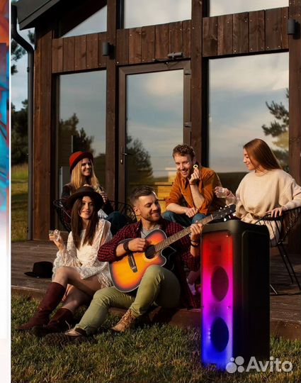 Колонка Eltronic 20-61