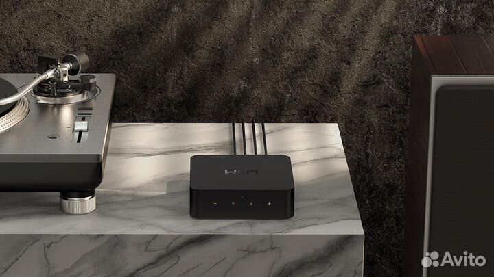 Стриминговыи аудиоплеер WiiM PRO