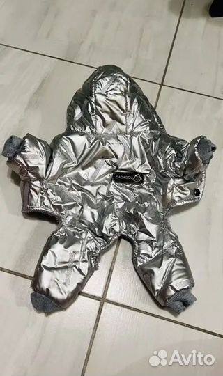 Одежда для собак