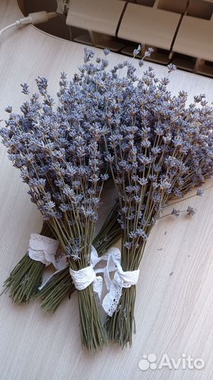 Букет из лаванды сухоцвет
