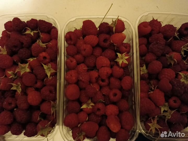 Малина ягоды оптом