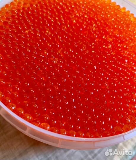 Икра красная форели слабосллëная среднее зерно