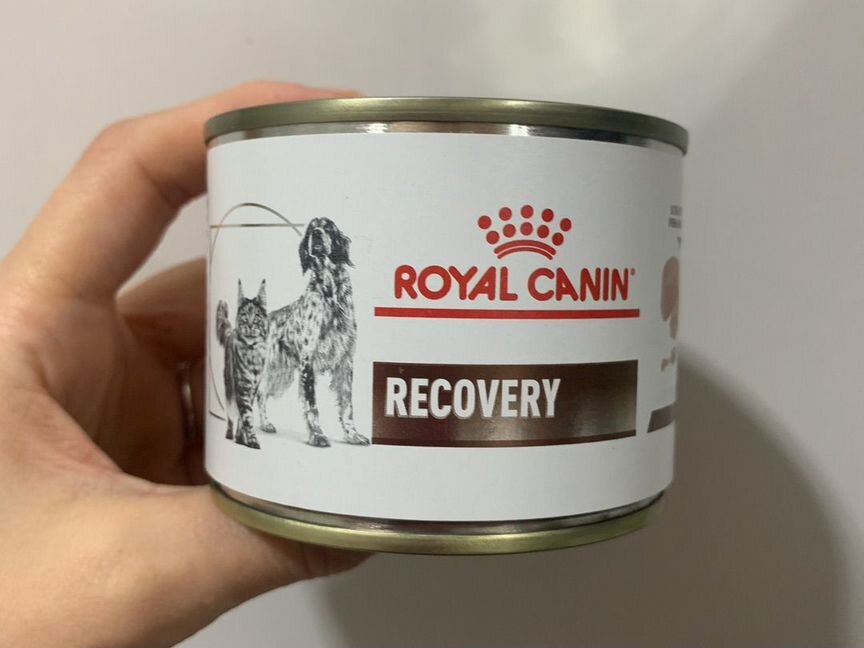 Royal canin recovery