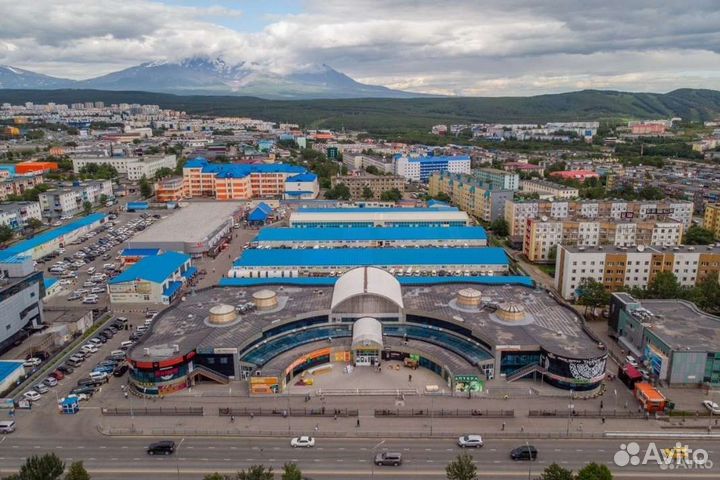 Дворник