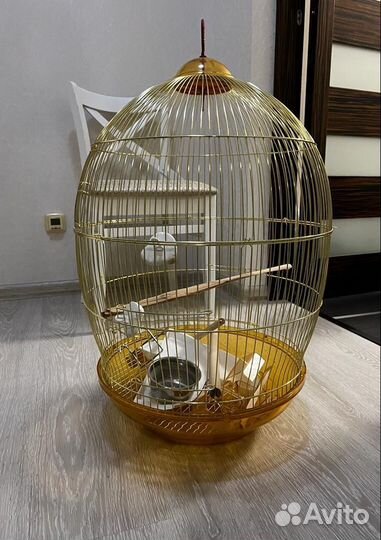 Клетка для птиц