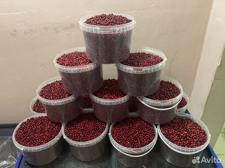 Брусника свежая с доставкой