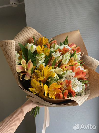 Альстромерия