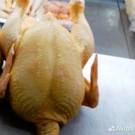 Куры халяль с доставкой оптом 10шт