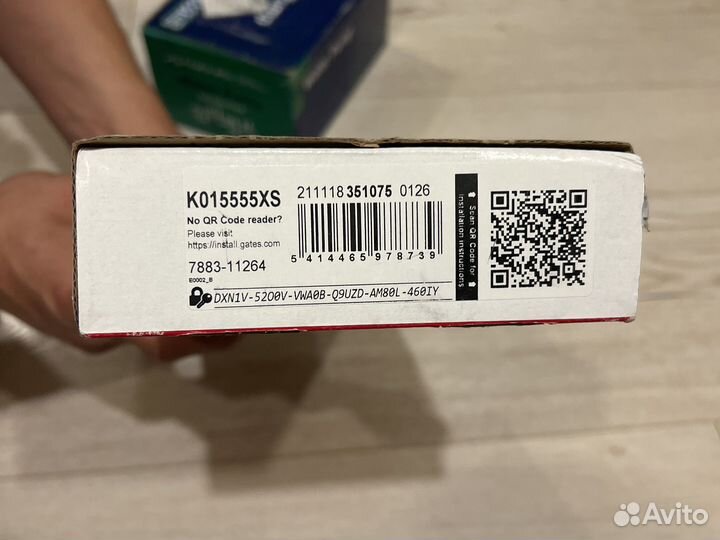 Ремень грм/помпа водяная