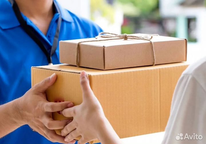 Попутный груз до 10 кг