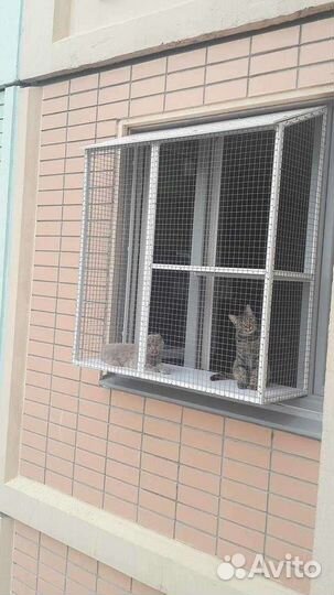 Балконный вольер для кошек