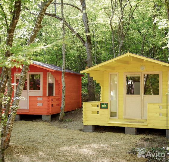 Йога-тур в Абрау-Дюрсо 6-7 августа