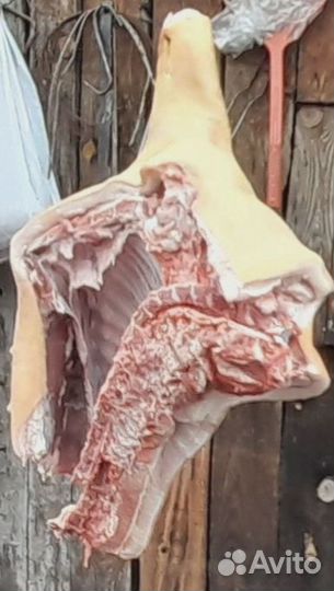 Мясо свинины
