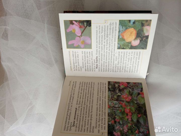 Книга по вышиванию бегоний