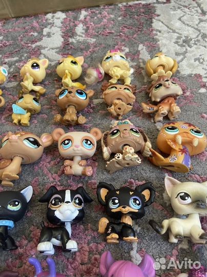 Littlest pet shop