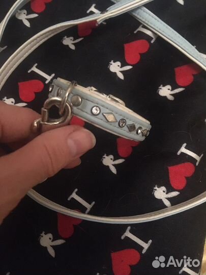 Ошейник поводок ринговка