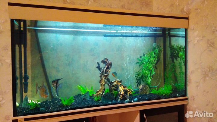 Аквариум Aquatech 288 с тумбой