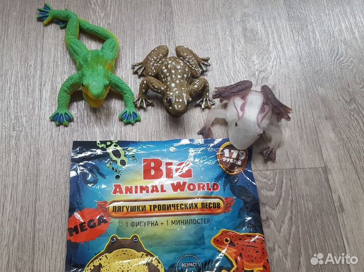 Лягушки тропических лесов