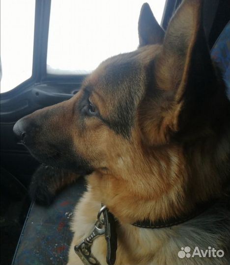 Кабель вязка