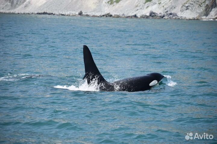 Морская прогулка на парусной яхте