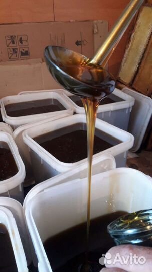 Мед оптом гречка(гречишный) 2023