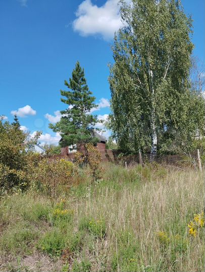 Участок 11 га (СНТ, ДНП)