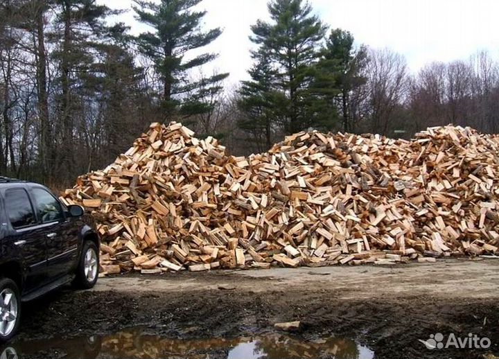 Дрова ольха осина