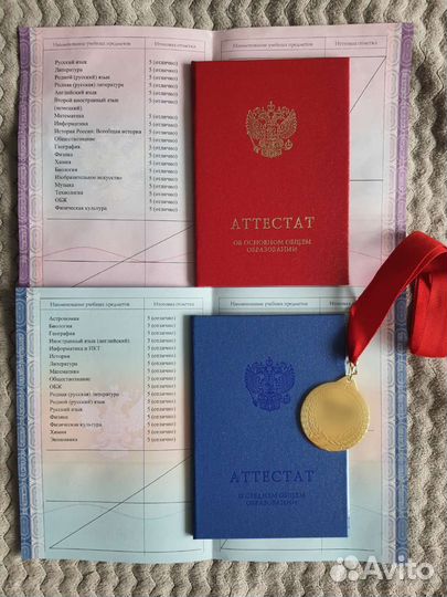 Репетитор по обществознанию / истории