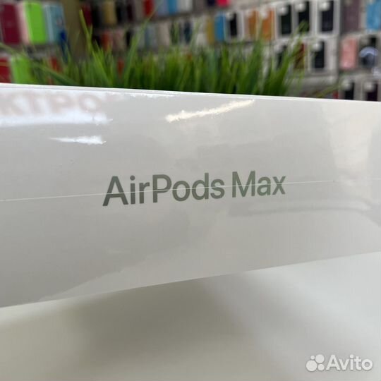 Apple airpods Max
