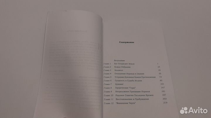 Божье цунами (Питер Цукахира)